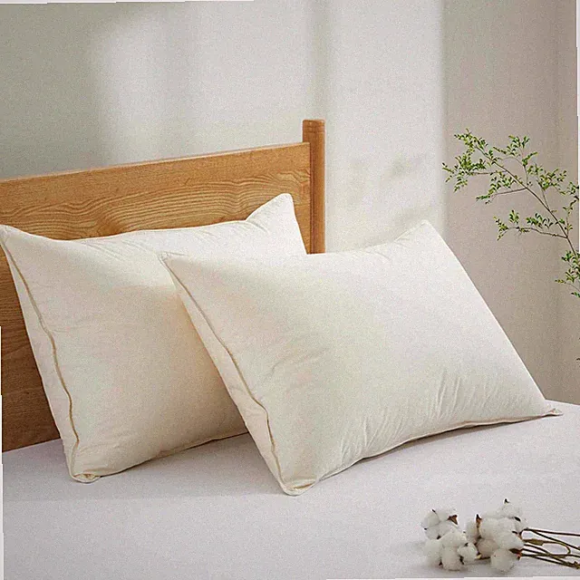 2 Pack Down Bed Pillows+ 100% Organic Cotton Shell, King or Queen Pillows