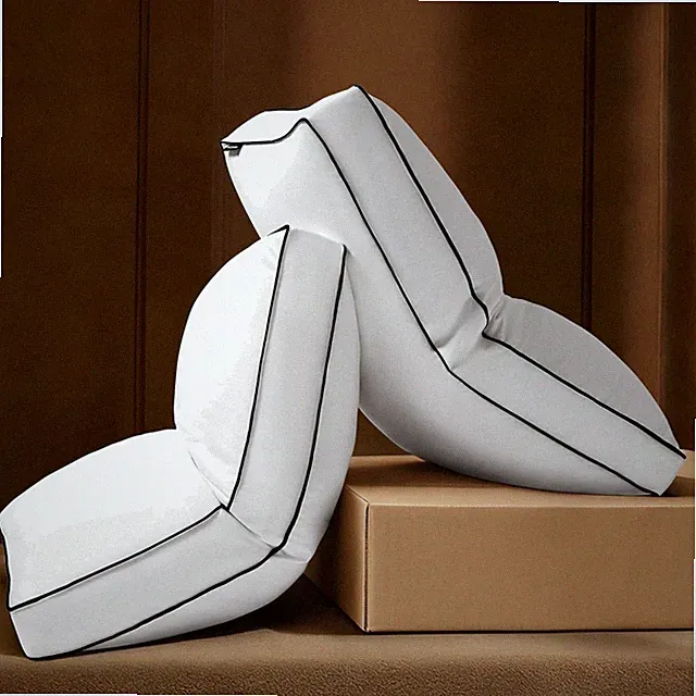 Goose Feather Down Pillows Queen Size Set of 2, Down Surrounded Hotel Collect...